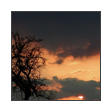 collage image title