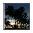 collage image title
