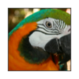 collage image title