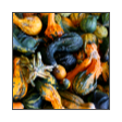 collage image title