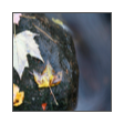 collage image title