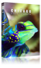 carousel_thumb