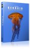 carousel_thumb